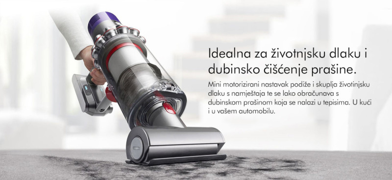 Usisavač V10 Absolute